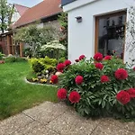 شقة Altes Landwarenhaus Mit Garten Und Zubuchbarer Sauna *