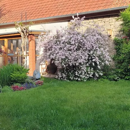 Apartament Altes Landwarenhaus Mit Garten Und Zubuchbarer Sauna *