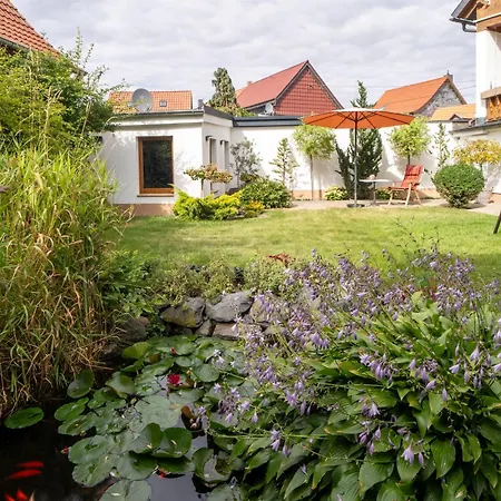 Altes Landwarenhaus Mit Garten Und Zubuchbarer Sauna Hedersleben
