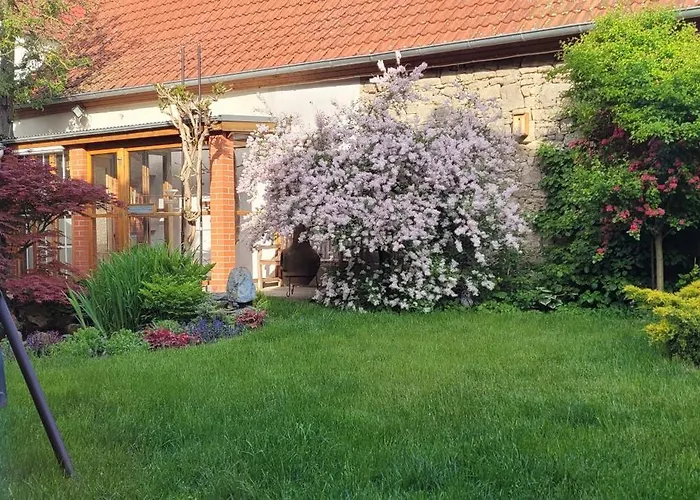 Lejlighed Altes Landwarenhaus Mit Garten Und Zubuchbarer Sauna *