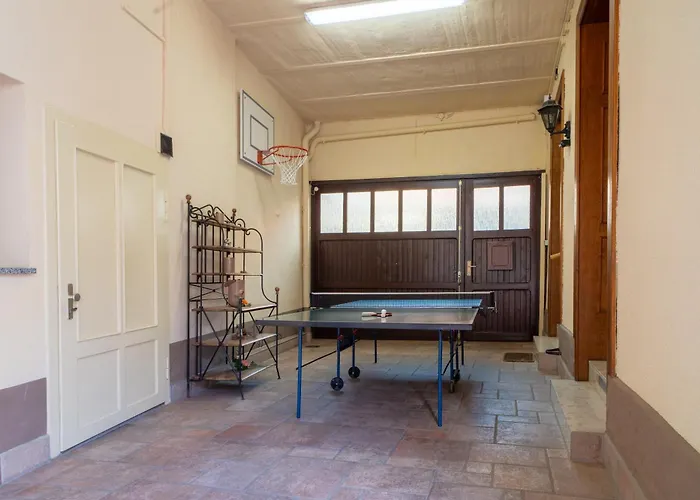 Apartamento Lux Altes Landwarenhaus Mit Garten Und Zubuchbarer Sauna