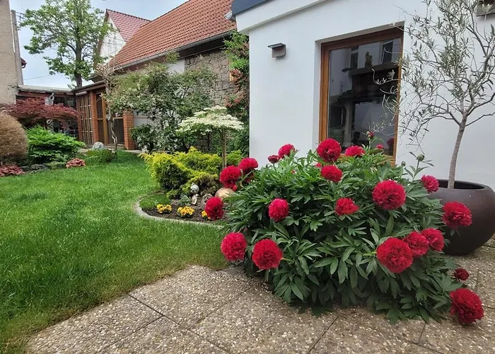 Lejlighed Altes Landwarenhaus Mit Garten Und Zubuchbarer Sauna *